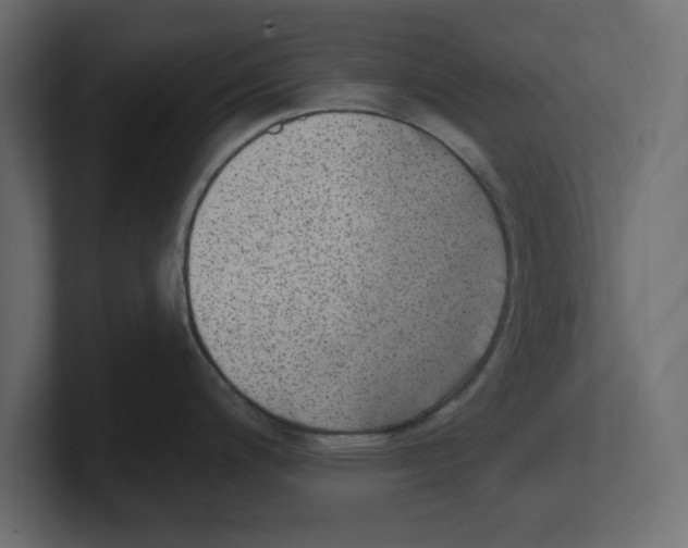 X0000100361200200806271417