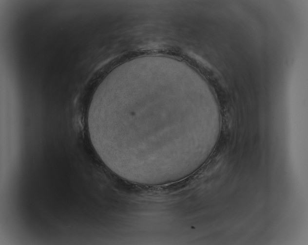 X0000100361206200806271416