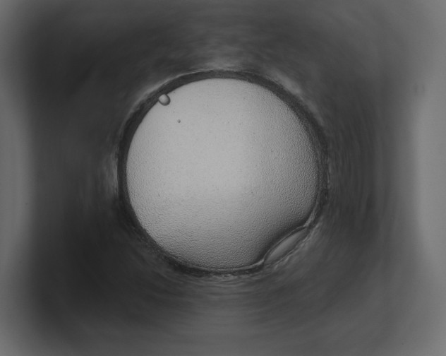 X0000100361214200806271416