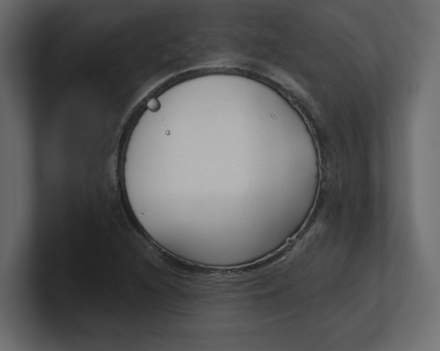 X0000100361216200806271416