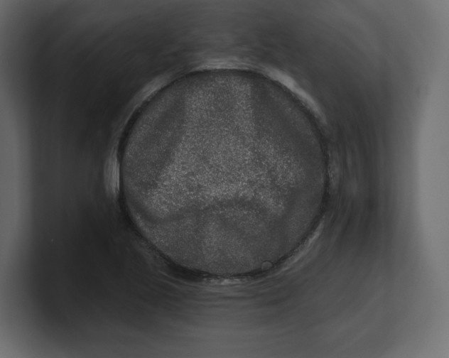 X0000100361221200806271416