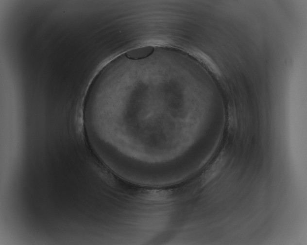 X0000100361226200806271416