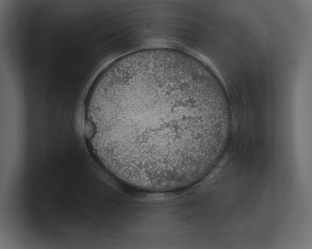 X0000100361227200806271416