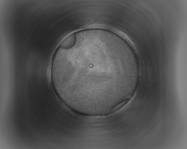 X0000100361228200806271416