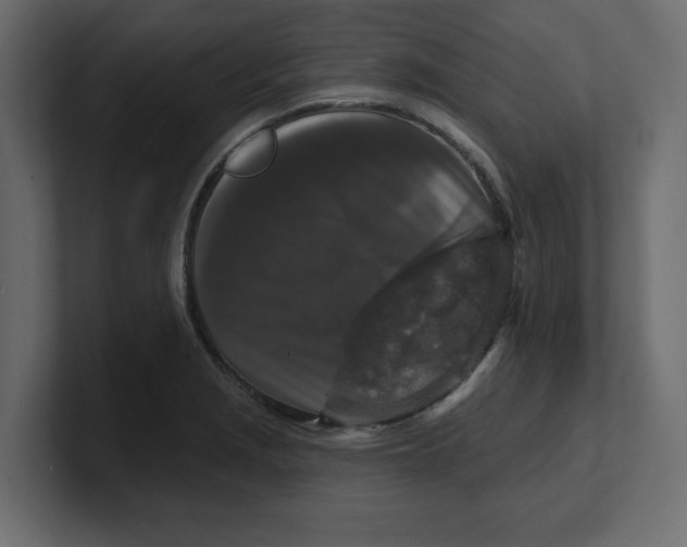 X0000100361229200806271416