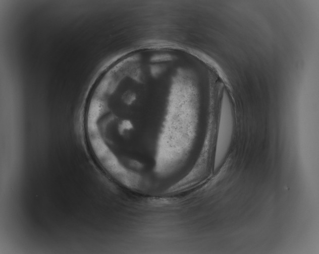 X0000100361231200806271417