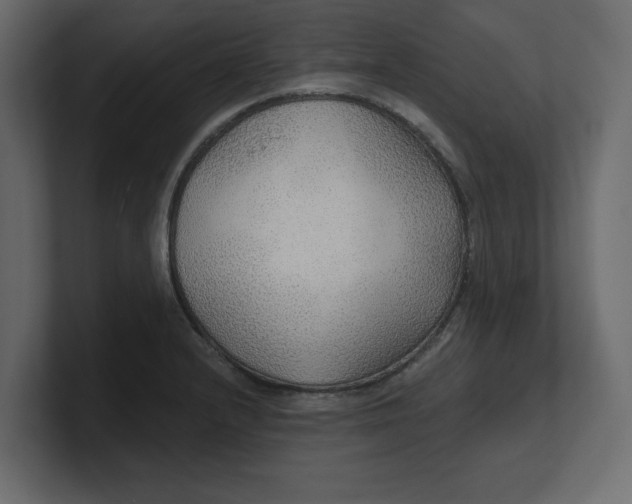 X0000100361232200806271417