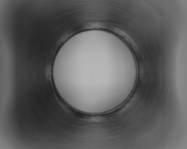 X0000100361233200806271417