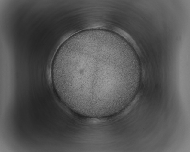 X0000100361234200806271417