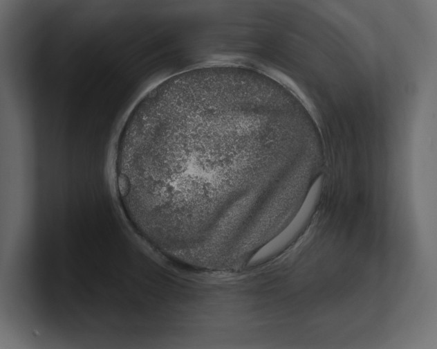 X0000100361235200806271417