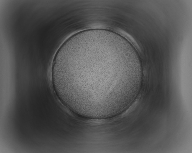 X0000100361236200806271417