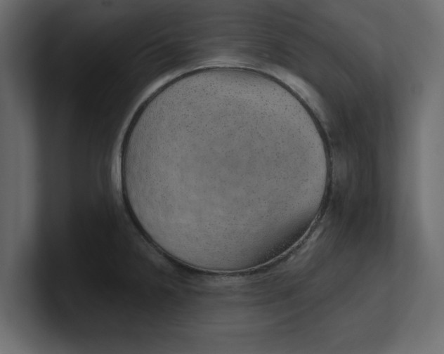 X0000100361238200806271417