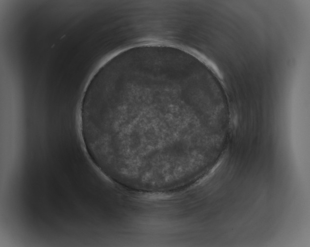 X0000100361239200806271417