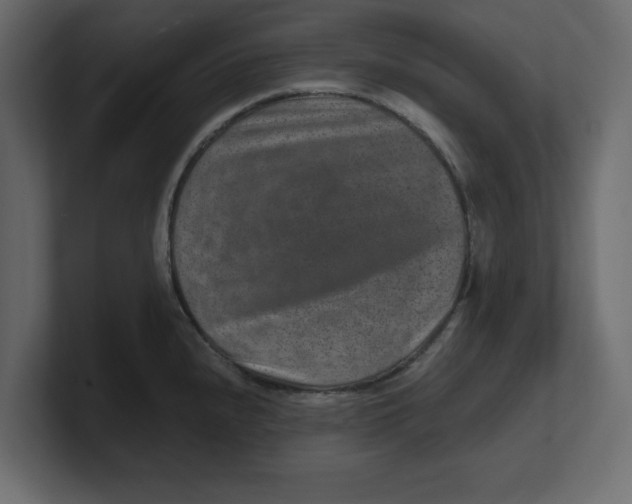 X0000100361240200806271417