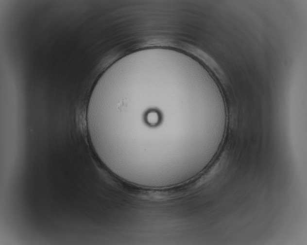 X0000100361241200806271417