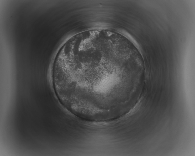 X0000100361243200806271417