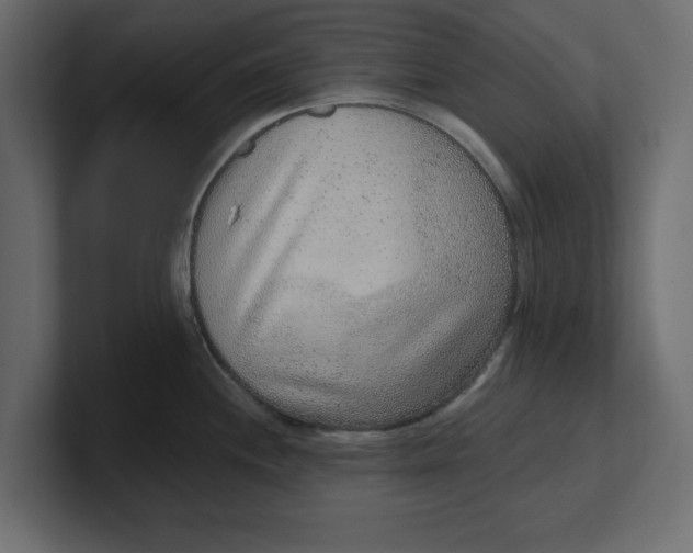 X0000100361244200806271417