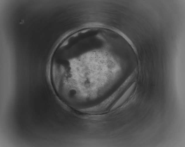 X0000100361245200806271417