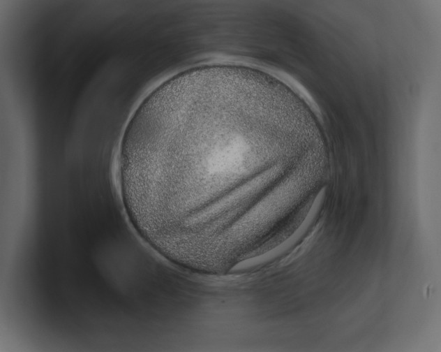 X0000100361247200806271417