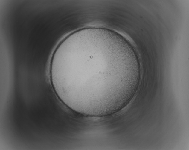 X0000100361248200806271417