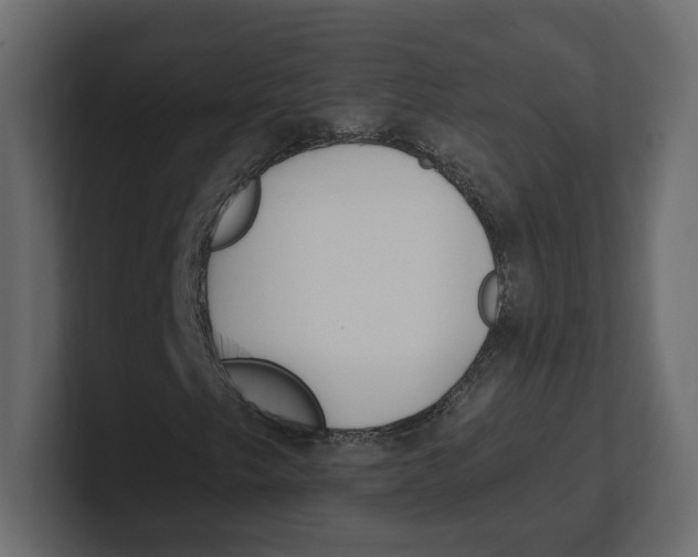 X0000100361249200806271416