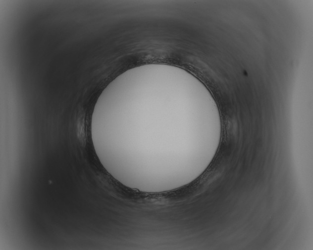 X0000100361250200806271416