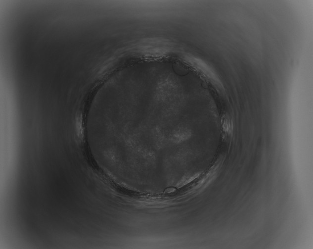 X0000100361252200806271416