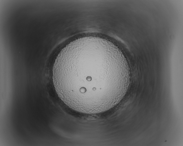 X0000100361255200806271416