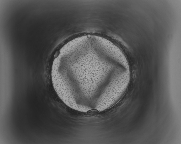 X0000100361256200806271416