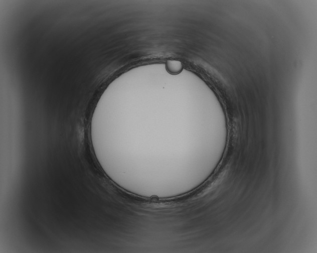 X0000100361257200806271416