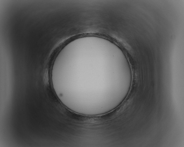 X0000100361262200806271416