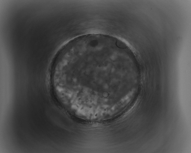 X0000100361263200806271416