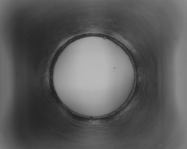 X0000100361264200806271416