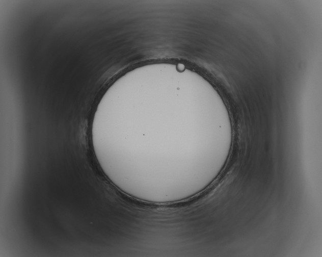 X0000100361265200806271416