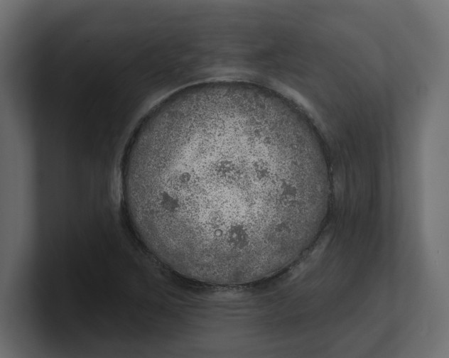 X0000100361267200806271416