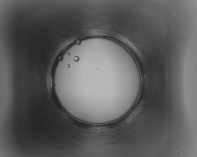 X0000100361269200806271416