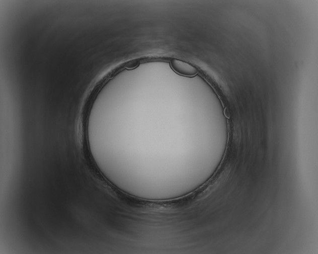 X0000100361270200806271416