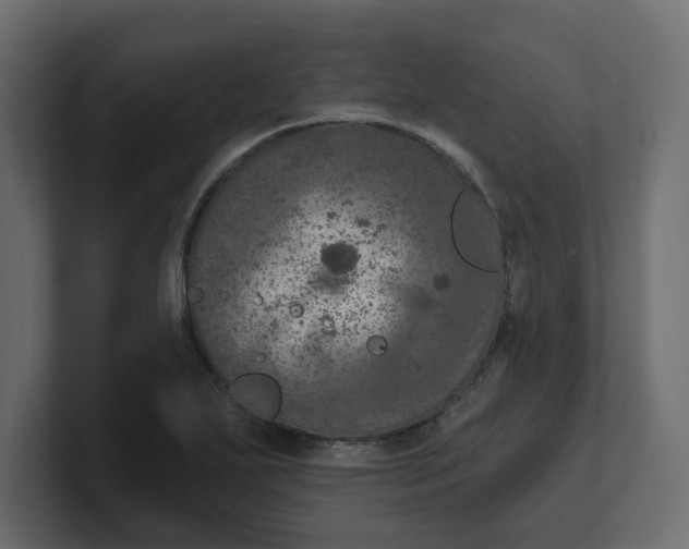 X0000100361271200806271416