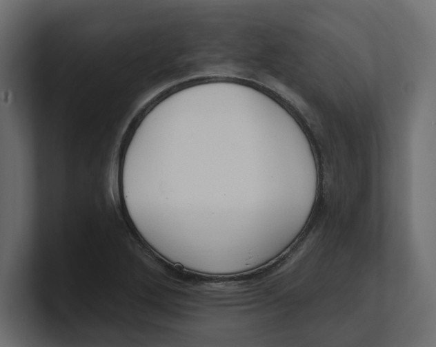 X0000100361272200806271416