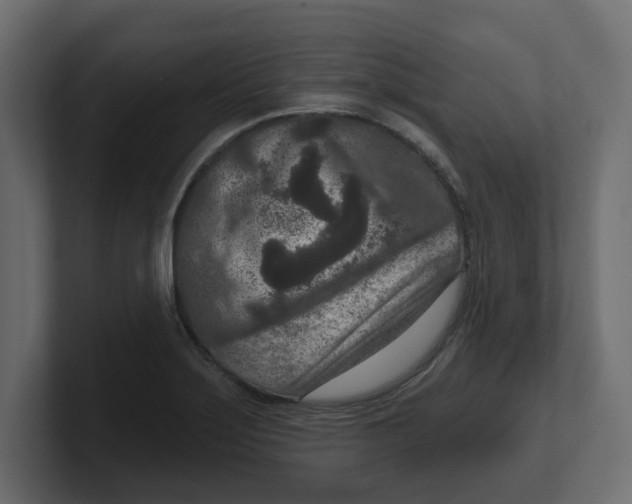 X0000100361275200806271416