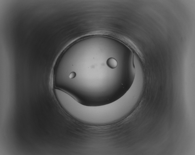 X0000100361276200806271416