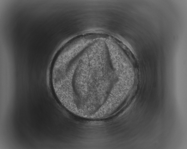 X0000100361277200806271416