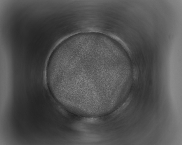 X0000100361278200806271416