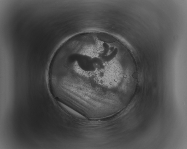 X0000100361279200806271416