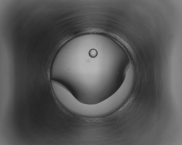 X0000100361281200806271416