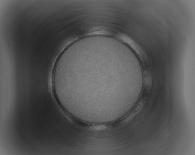 X0000100361282200806271416