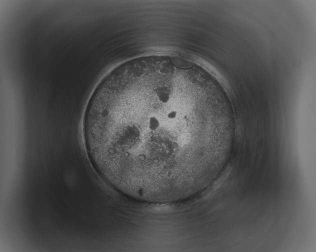 X0000100361283200806271416