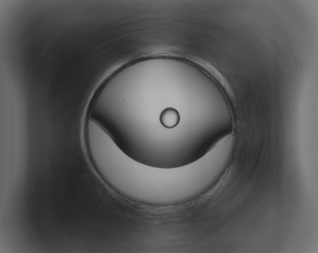 X0000100361285200806271416