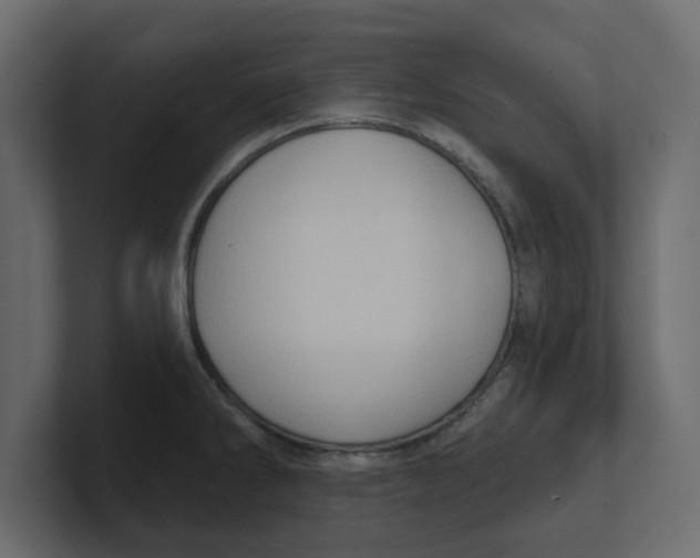 X0000100361286200806271416