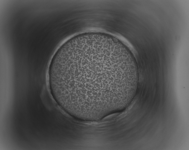 X0000100361287200806271416